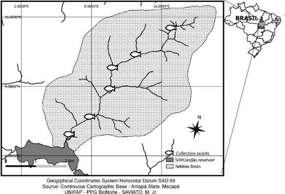Collection points inside located in the Neblina stream drainage basin, northern Tocantins.
