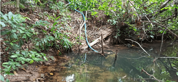 Headland region of the Neblina stream upstream from the first collection point.