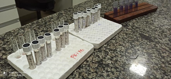 Samples collected and in the process of laboratory analysis