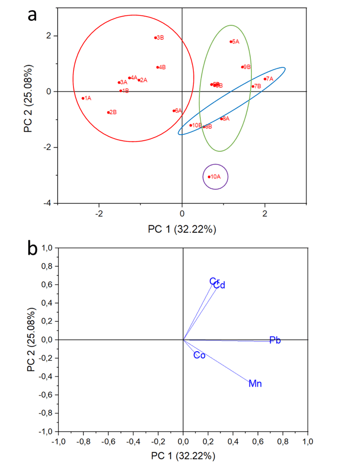 Gráfico de scores (a) e loadings (b) dos componentes principais