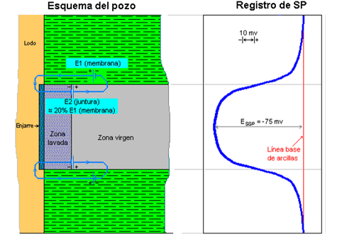 Exemplo de registro de perfil SP.