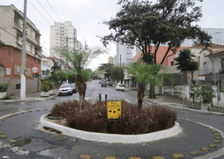 Jardim de chuva em rotatória na rua Teodureto Souto (região sul)