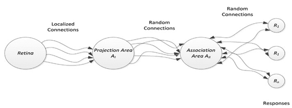 Modelo organizacional do Perceptron de Rosenblatt