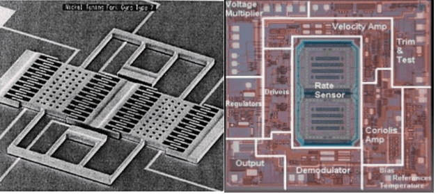 Estrutura microscópica