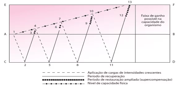 Retorno dos níveis metabólicos normais.