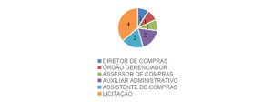 Divisão de Cargos no Setor