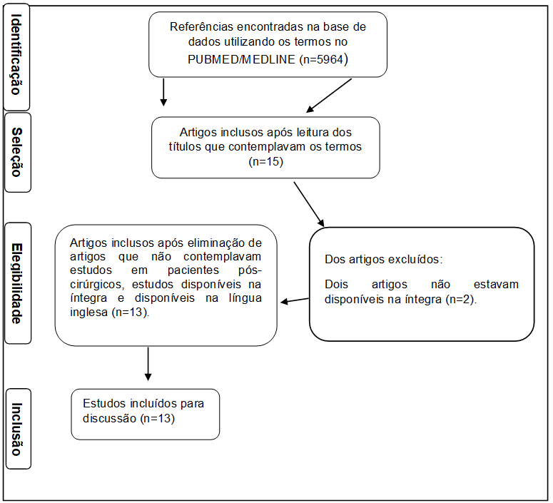 Fluxograma de busca de artigos e critérios de inclusão, elaborado segundo as recomendações PRISMA