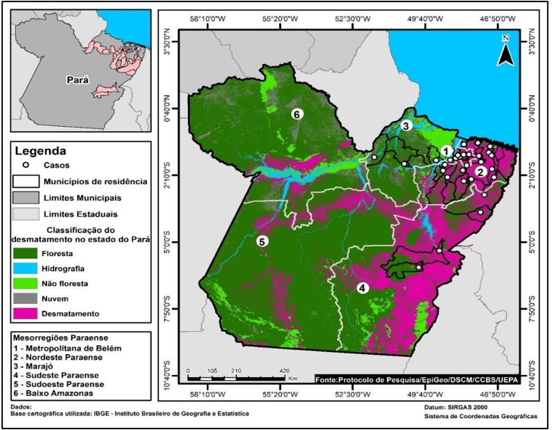 Classificação do Desmatamento no Estado do Pará, segundo dados do PRODES