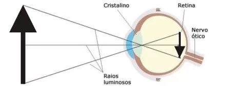 Esquema do olho humano