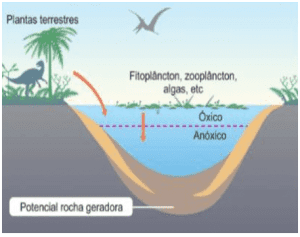 Formação de bacia sedimentar