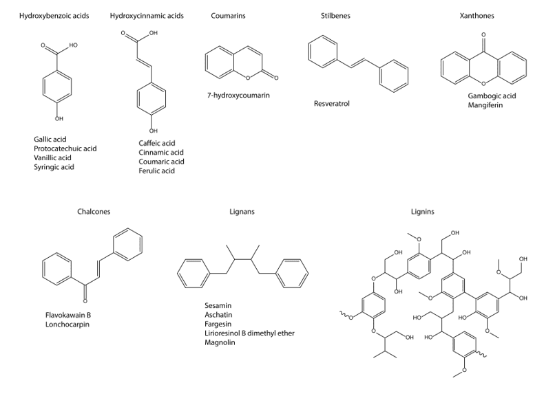Non-flavonoid compounds classes and some representative compounds