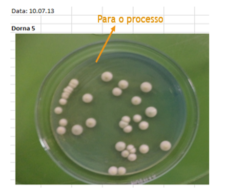 Resultado do plaqueamento do overflow