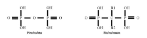 Estrutura química dos Pirofosfatos e Bisfosfonatos.