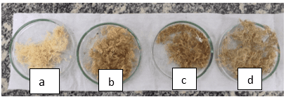 Material a limpeza com água sanitária e ativada com HCl (0,1 moll), b limpeza com água sanitária e ativada com NaOH(0,1 moll), climpeza somente com água e sabão neutro ativada com NaOH (0,1 moll)