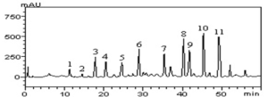 Artemisia absinthium ethanolic extract phenolics and flavonoids profile using high-performance liquid chromatography (AAEE). Gallic acid (peak 1), catechin (peak 2), chlorogenic acid (peak 3),