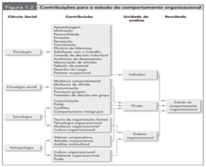 Contribuições para o estudo do comportamento organizacional
