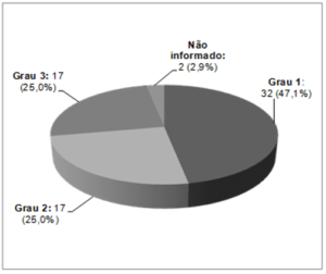 Distribuição dos eventos de flebite segundo nível de gravidade – Hospital de Ensino em Cardiopneumologia, SP - 102015 a 082016