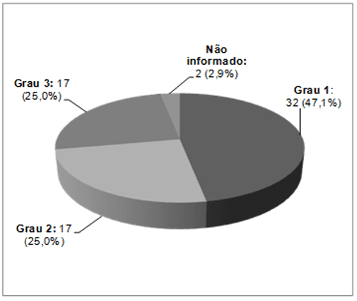 Distribuição dos eventos de flebite segundo nível de gravidade – Hospital de Ensino em Cardiopneumologia, SP - 102015 a 082016