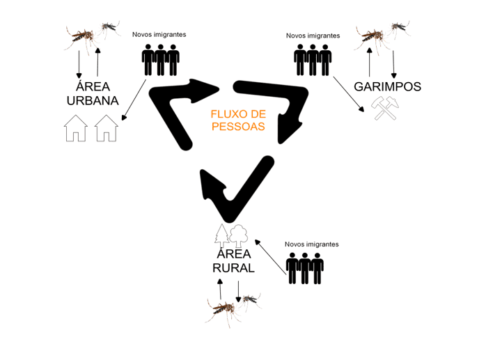 Ciclo de Transmissão da malária, nas áreas urbanas, rural e garimpeira.