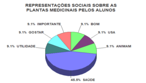 Porcentagem das Representações Sociais sobre as plantas medicinais na visão dos alunos da escola Geraldo Dias de Godoy