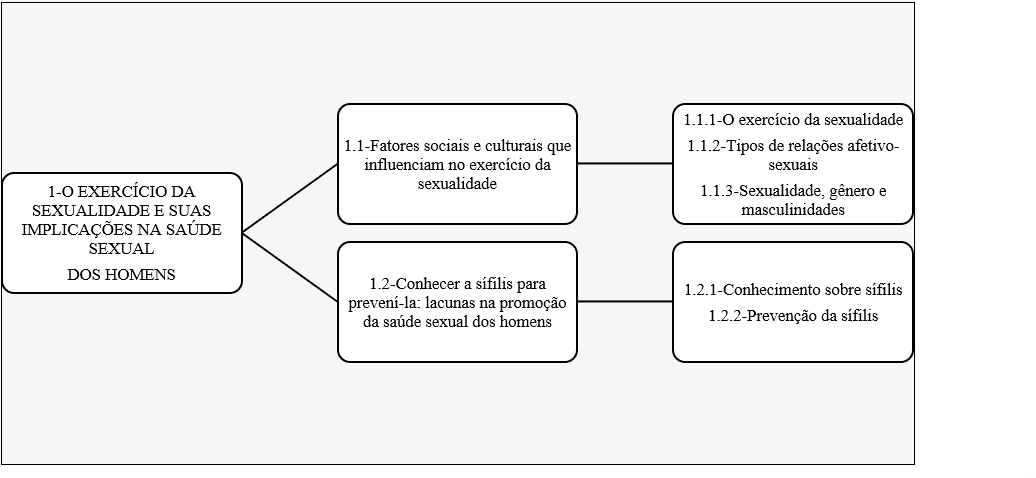 Construção da 1ª. Categoria de análise