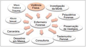 O domínio pertinente a violência e suas variações