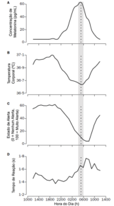 Ritmo Circadiano de concentração de Melatonina (A), temperatura corporal (B), estado de alerta (C) e tempo de reação (D).