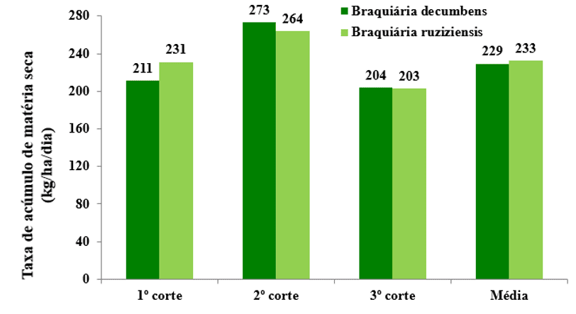 Taxas médias de acúmulo diário de matéria seca em toda a parte aérea das braquiárias decumbens e ruziziensis, nos três cortes