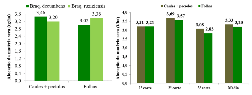 Valores médios dos acúmulos de matéria seca nos caules + pecíolos e nas folhas das braquiárias decumbens e ruziziensis no primeiro, segundo e terceiro cortes
