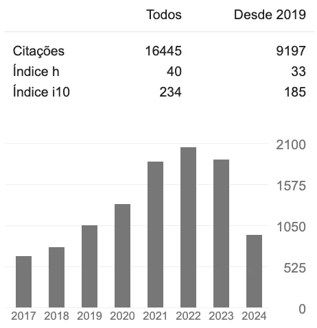 google academico