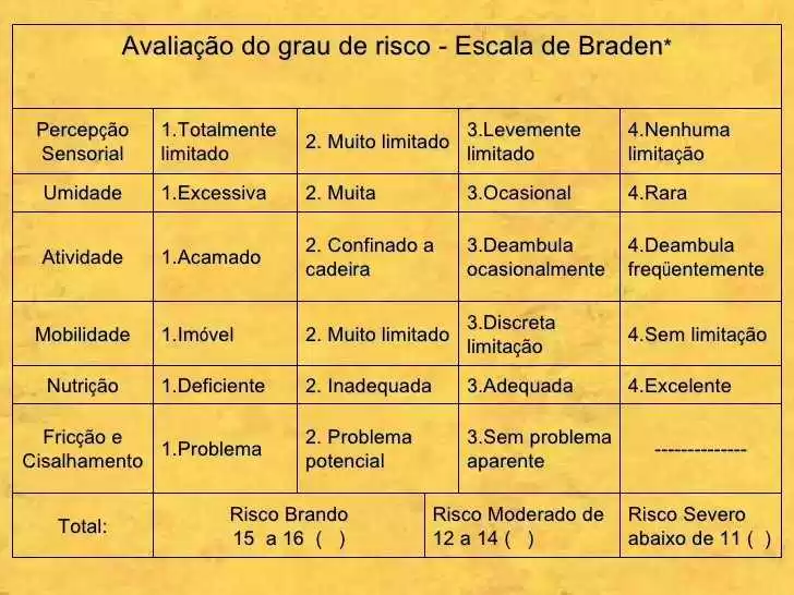 Figura 1: evaluación del grado de la escala de Braden de riesgo. Fuente: Aucely Chagas, 2010.