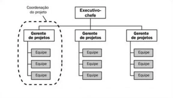 Figura 10 - Matriz Projetos. Disponível em: <https://brainstormdeti.wordpress.com/2010/06/08/estruturas-organizacionais-e-projetos/>. Acesso em: 18 mar 2018.