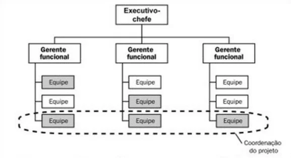 Figura 07-Matrix le strutture. Disponibile a: https://brainstormdeti.wordpress.com/2010/06/08/estruturas-organizacionais-e-projetos srcset=