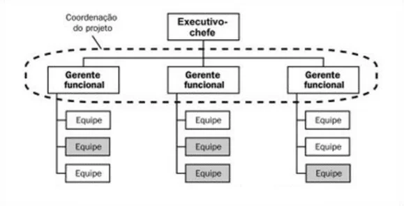 Figure 08-Functional Matrix. Source: available at: https://brainstormdeti.wordpress.com/2010/06/08/estruturas-organizacionais-e-projetos srcset=