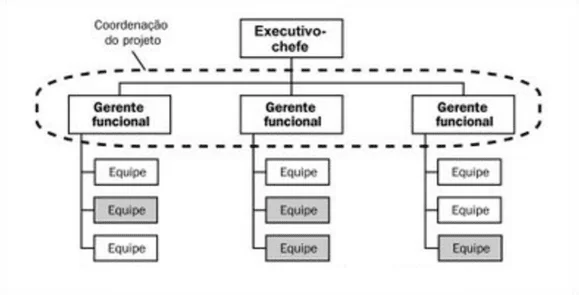 Figura 08  - Matriz Funcional. Fonte: Disponível em: https://brainstormdeti.wordpress.com/2010/06/08/estruturas-organizacionais-e-projetos/>. Acesso em: 17 mar 2018.