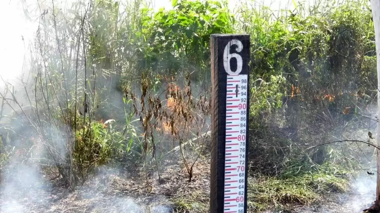 Figura 9: Ocorrência de queimada na margem do Rio São Francisco em março de 2016. Fonte: Acervo do autor