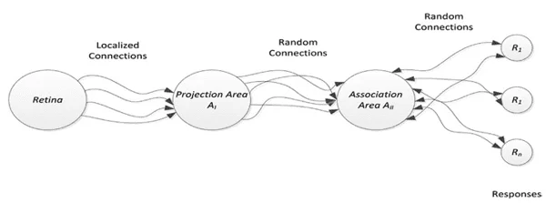 Modelo organizacional do Perceptron de Rosenblatt