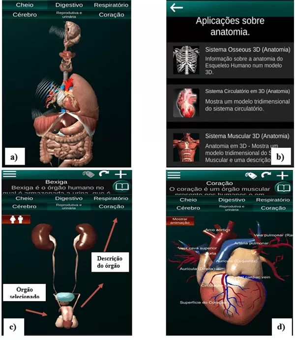 Captura de telas do aplicativo “Organs 3D Anatomy”