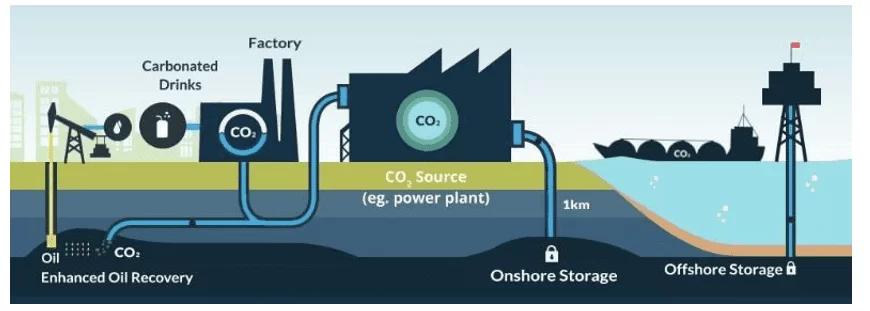 Modelo do Processo de Captura e Sequestro de Carbono