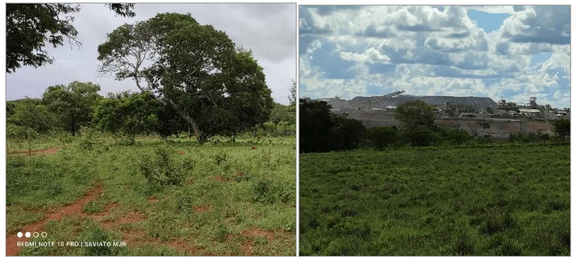 Representação da região estudada, área de Cerrado (à esquerda), apresentando ocupação pecuária e (à direita), ao fundo exploração de metais preciosos