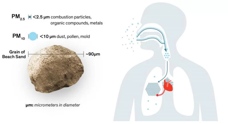 Size Comparison from PM10 and PM2.5 to Sand and Human Hair.