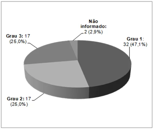 Distribuição dos eventos de flebite segundo nível de gravidade – Hospital de Ensino em Cardiopneumologia, SP - 102015 a 082016