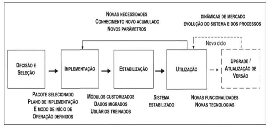 Sobrevida de um Sistema ERP.