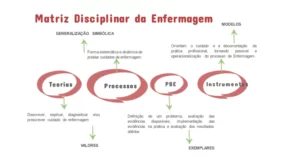 A matriz disciplinar da enfermagem à luz de Thomas Kuhn. Natal, Rio Grande do Norte, 2022