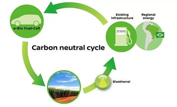 Ciclo do carbono