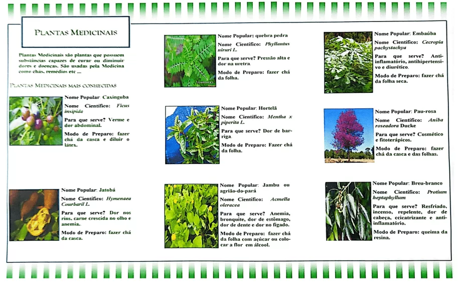 Folders distribuídos aos comunitários coariense visitantes da Feirinha de Plantas Medicinais do ISB. 1.2
