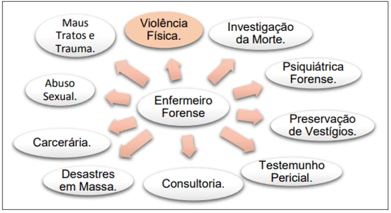 O domínio pertinente a violência e suas variações