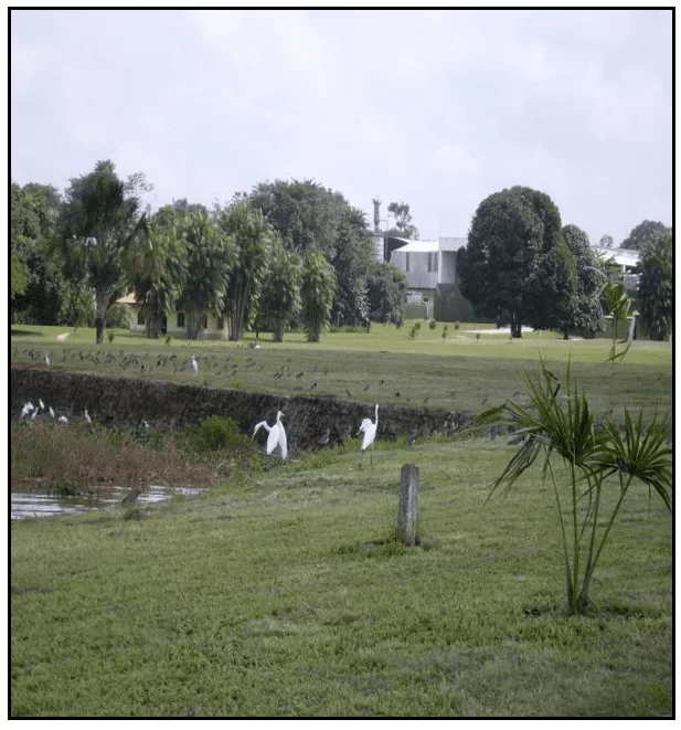parque industrial de bebidas CERPASA, inserido dentro de um sistema o mais natural possível.