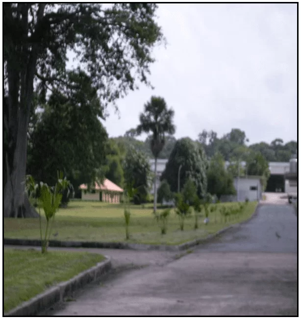 parque industrial de bebidas