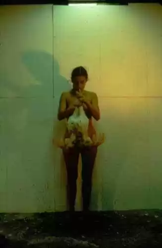 Figure 1 - Ana Mendieta, Untitled (Chicken Piece), 1972. Super-8 colour, silent film transferred to DVD, running time: 6 minutes, 20 seconds. © The Estate of Ana Mendieta Collection. [http://www.alisonjacquesgallery.com/artists/47/works/]